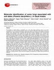 Research paper thumbnail of Optimization of High-Protein Glutinous Rice Flour Production Using Response Surface Method