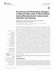 Research paper thumbnail of Functional and Phenotypic Changes of Natural Killer Cells in Whole Blood during Mycobacterium tuberculosis Infection and Disease