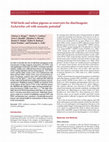 Research paper thumbnail of Wild birds and urban pigeons as reservoirs for diarrheagenic Escherichia coli with zoonotic potential