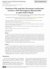 Research paper thumbnail of Parasitism of the nasal mite Sternostoma tracheacolum Lawrence, 1948 (Mesostigmata: Rhinonyssidae) in captive birds in Brazil