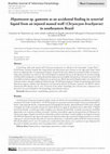 Research paper thumbnail of Hepatozoon sp. gamonts as an accidental finding in synovial liquid from an injured maned wolf (Chrysocyon brachyurus) in southeastern Brazil