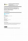 Research paper thumbnail of Mécanismes d’identification linguistique et jeunesse urbaine à Port-Vila (Vanuatu) : une approche anthropologique