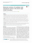 Research paper thumbnail of Molecular evolution of candidate male reproductive genes in the brown algal model Ectocarpus