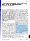 Research paper thumbnail of Functional genomics in Brugia malayi reveal diverse muscle nAChRs and differences between cholinergic anthelmintics