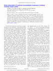 Research paper thumbnail of Direct observation of nonlinear acoustoelastic hysteresis in kinking nonlinear elastic solids