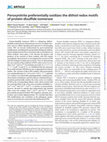 Research paper thumbnail of Peroxynitrite preferentially oxidizes the dithiol redox motifs of protein-disulfide isomerase