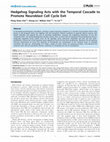 Research paper thumbnail of Hedgehog Signaling Acts with the Temporal Cascade to Promote Neuroblast Cell Cycle Exit