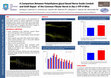 Research paper thumbnail of A Comparison Between Polyethylene-glycol Based Nerve Guide Conduit and Graft Repair of the Common Fibular Nerve in thy-1-YFP-H Mice