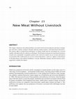 Research paper thumbnail of New Meat Without Livestock