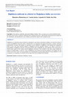 Research paper thumbnail of Diphtheria outbreak in a district in Meghalaya, India: an overview