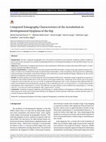 Research paper thumbnail of Computed Tomography Characteristics of the Acetabulum in Developmental Dysplasia of the Hip