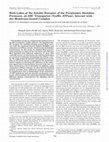 Research paper thumbnail of Both Lobes of the Soluble Receptor of the Periplasmic Histidine Permease, an ABC Transporter (Traffic ATPase), Interact with the Membrane-bound Complex. EFFECT OF DIFFERENT LIGANDS AND CONSEQUENCES FOR THE MECHANISM OF ACTION