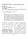 Research paper thumbnail of E 2006, by the American Society of Limnology and Oceanography, Inc. Photosynthesis and light utilization in the Caribbean coral Montastraea faveolata recovering from a bleaching event