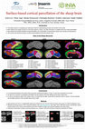 Research paper thumbnail of Surface-based cortical parcellation of the sheep brain