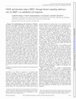 Research paper thumbnail of VEGF and thrombin induce MKP-1 through distinct signaling pathways: role for MKP-1 in endothelial cell migration