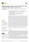 Research paper thumbnail of Production of Potato (Solanum tuberosum L.) Seed Tuber under Artificial LED Light Irradiation in Plant Factory