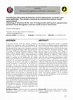 Research paper thumbnail of Actualización del modelo de situación: rol de la información ‘en fondo’ y procesos implicados. Una mirada a través de las visiones here and now versus memory based