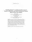 Research paper thumbnail of "Building Blood": An Ethnographic Look at Plants in Medicine and Myth among the Mopan Maya of San José, Belize