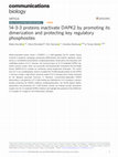 Research paper thumbnail of 14-3-3 proteins inactivate DAPK2 by promoting its dimerization and protecting key regulatory phosphosites