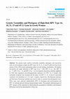 Research paper thumbnail of Genetic variability and phylogeny of the high-risk HPV-31, -33, -35, -52, and -58 in central Brazil