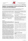 Research paper thumbnail of Hepatitis C virus genotypes in Serbia and Montenegro: The prevalence and clinical significance