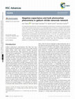 Research paper thumbnail of Negative-capacitance and bulk photovoltaic phenomena in gallium nitride nanorods network