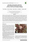 Research paper thumbnail of The effect of insecticides against the root mealybug (Cataenococcus ensete) of ensete ventricosum in Southern Ethiopia