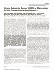 Research paper thumbnail of Kinase Substrate Sensor (KISS), a mammalian in situ protein interaction sensor