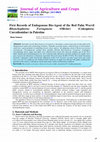 Research paper thumbnail of First Records of Endogenous Bio-Agent of the Red Palm Weevil Rhynchophorus Ferrugineus (Olivier) (Coleoptera: Curculionidae) in Palestine