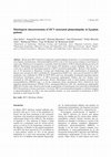 Research paper thumbnail of Histological Characterization of HCV-Associated Glomerulopathy in Egyptian Patients