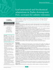 Research paper thumbnail of Leaf anatomical and biochemical adaptations in Typha domingensis Pers. ecotypes for salinity tolerance