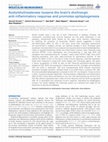 Research paper thumbnail of Acetylcholinesterase loosens the brain's cholinergic anti-inflammatory response and promotes epileptogenesis