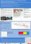 Research paper thumbnail of Evidence of fine-scale genetic structure for the endangered Pyrenean desman (Galemys pyrenaicus) in the French Pyrenees