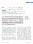 Research paper thumbnail of CDK-dependent phosphorylation of Mob2 is essential for hyphal development in Candida albicans