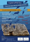 Research paper thumbnail of "Des ponts, des chapelles et des saints : conjurer le danger des fleuves et rivières dans le sud-ouest des Alpes", Le passé au fil de l’eau : l’eau et ses enjeux dans les sociétés anciennes, 17ème Journée Doctorale d’Archéologie , ED 112, Paris, 18/05/2022