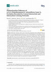 Research paper thumbnail of Photorelaxation Pathways of 4-(N,N-Dimethylamino)-4′-nitrostilbene Upon S1 Excitation Revealed by Conical Intersection and Intersystem Crossing Networks