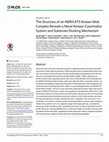 Research paper thumbnail of The Structure of an NDR/LATS Kinase–Mob Complex Reveals a Novel Kinase–Coactivator System and Substrate Docking Mechanism