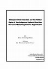 Research paper thumbnail of Ethiopia's Ethnic Federalism and The Political Rights of Non-indigenous Regional Minorities: The Case of Benishangul Gumuz Regional State