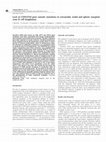 Research paper thumbnail of Lack of CD95/FAS gene somatic mutations in extranodal, nodal and splenic marginal zone B cell lymphomas