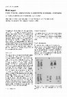 Research paper thumbnail of Origin of an Oral Adenocarcinoma as Suggested by Cytogenetical Observations