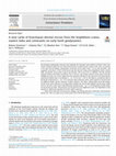 Research paper thumbnail of A new cache of Eoarchaean detrital zircons from the Singhbhum craton, eastern India and constraints on early Earth geodynamics