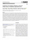 Research paper thumbnail of Cyanobacteria and cyanophage contributions to carbon and nitrogen cycling in an oligotrophic oxygen-deficient zone