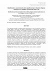 Research paper thumbnail of Identificación y caracterización de las manifestaciones culturales religiosas católicas en Los Antiguos, Provincia de Santa Cruz