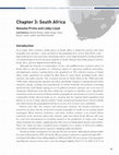 Research paper thumbnail of SOCIAL SCIENCE RESEARCH COUNCIL • MEDIA PIRACY IN EMERGING ECONOMIES Chapter 3: South Africa