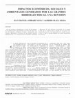 Research paper thumbnail of Impactos económicos, sociales y ambientales generados por las grandes hidroeléctricas. Una revisión