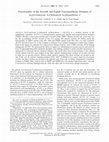 Research paper thumbnail of Functionality of the Seventh and Eighth Transmembrane Domains of Acyl-Coenzyme A:Cholesterol Acyltransferase 1 †