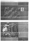 Research paper thumbnail of A short paper about a dog