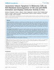 Research paper thumbnail of Jacaranone Induces Apoptosis in Melanoma Cells via ROS-Mediated Downregulation of Akt and p38 MAPK Activation and Displays Antitumor Activity In Vivo