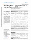 Research paper thumbnail of MicroRNA-146a as a Prognostic Biomarker for Esophageal Squamous Cell Carcinoma