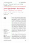 Research paper thumbnail of Türkiye’de Mesleki İtibar: Dönüşen Çalışma Hayatı ve Mesleklerin Sosyal Konumu